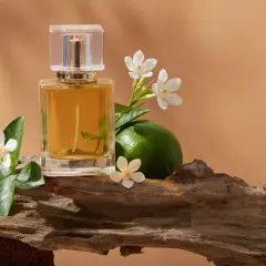 Trwałość perfum: Jak ocenić i przedłużyć zapach na skórze?