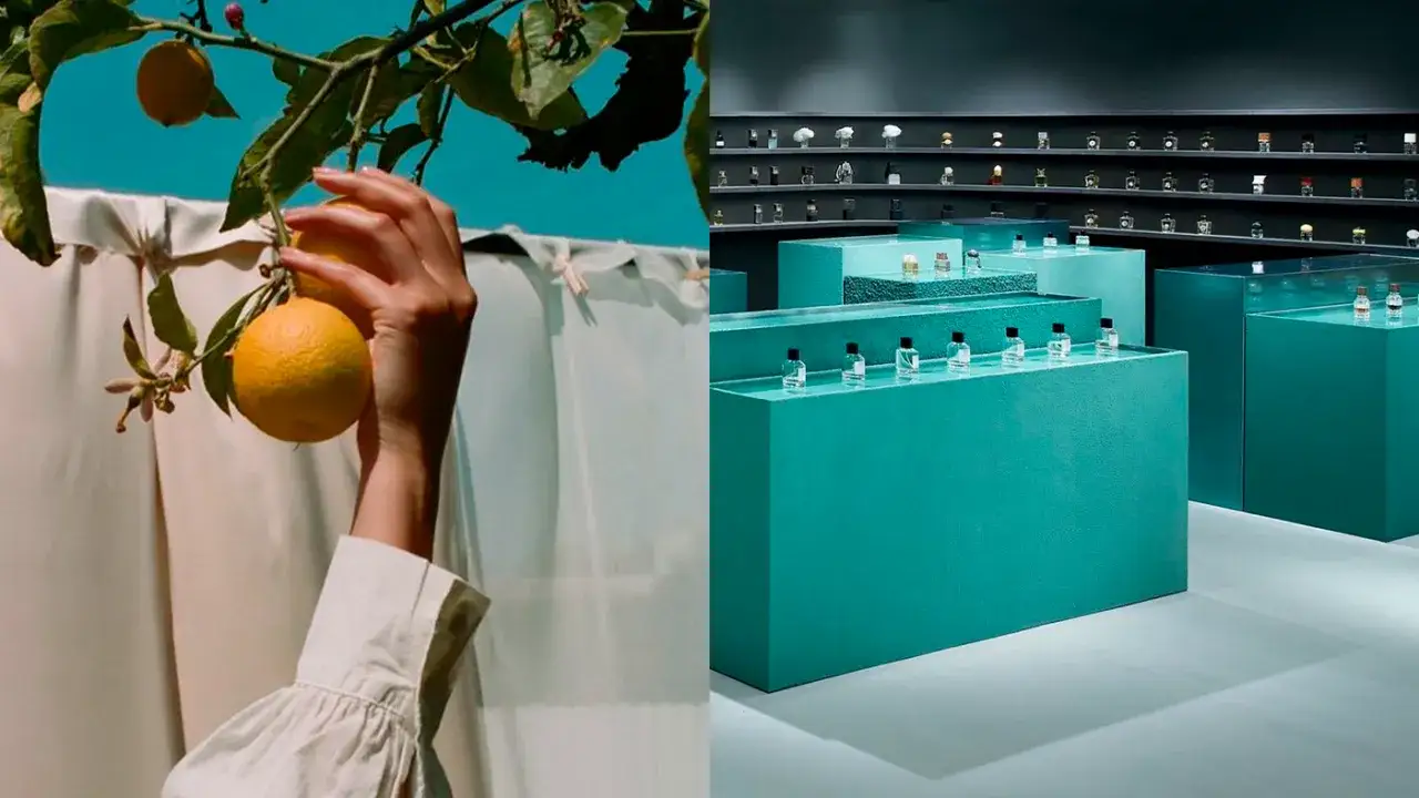 r&oacute;żnice edp edt ekstrakt perfum
